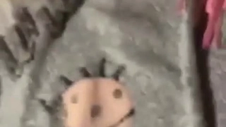 隔壁老王的新娘明天要回娘家了，好舍不得