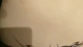 优雅的少妇一举一动都体现着高贵气质
