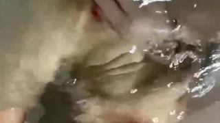 蓝色长裙网红脸外围妹 揉捏奶子撩起裙子扣穴 埋头深喉抗腿猛操 站立扶腰后入撞击